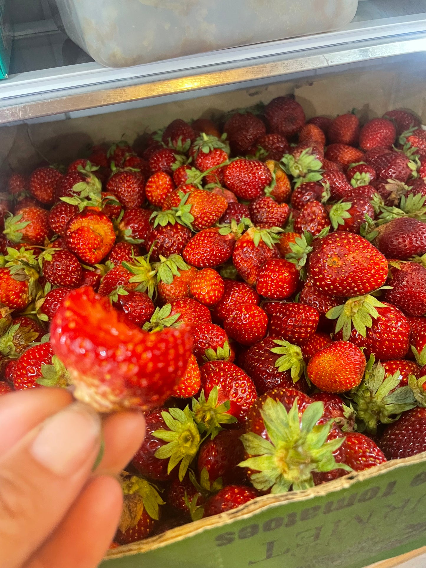 Strawberries 250g (Spray Free)