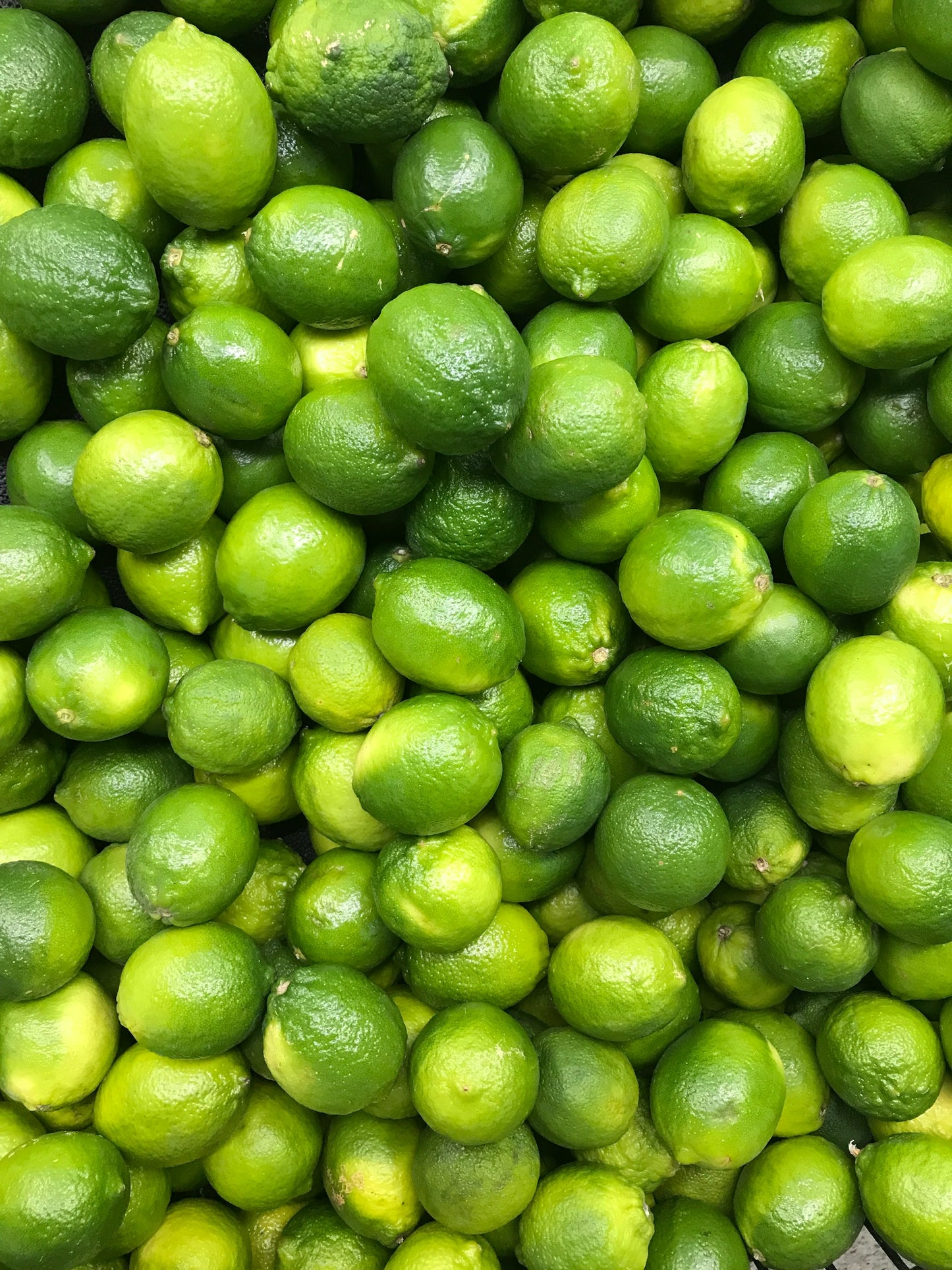 Limes kg
