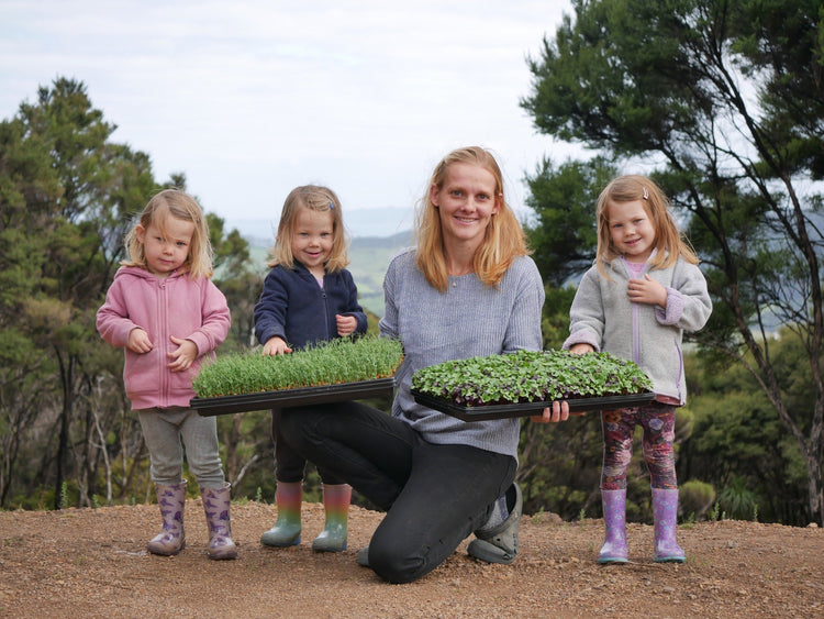 Backriver Mircogreens