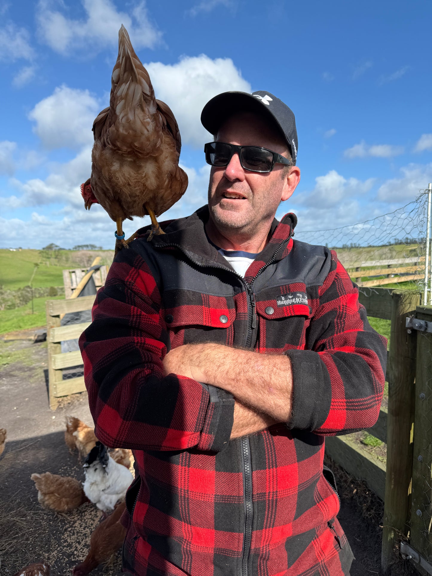 Free-Range Eggs (18 Pack)