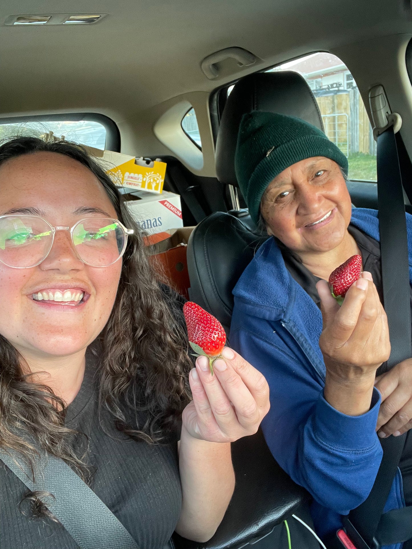 Strawberries 250g (Spray Free)