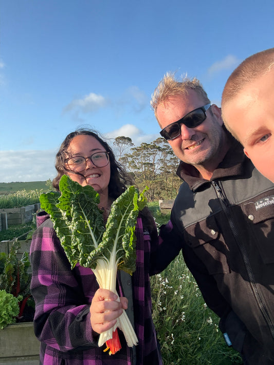 Silverbeet (Spray Free) bunch