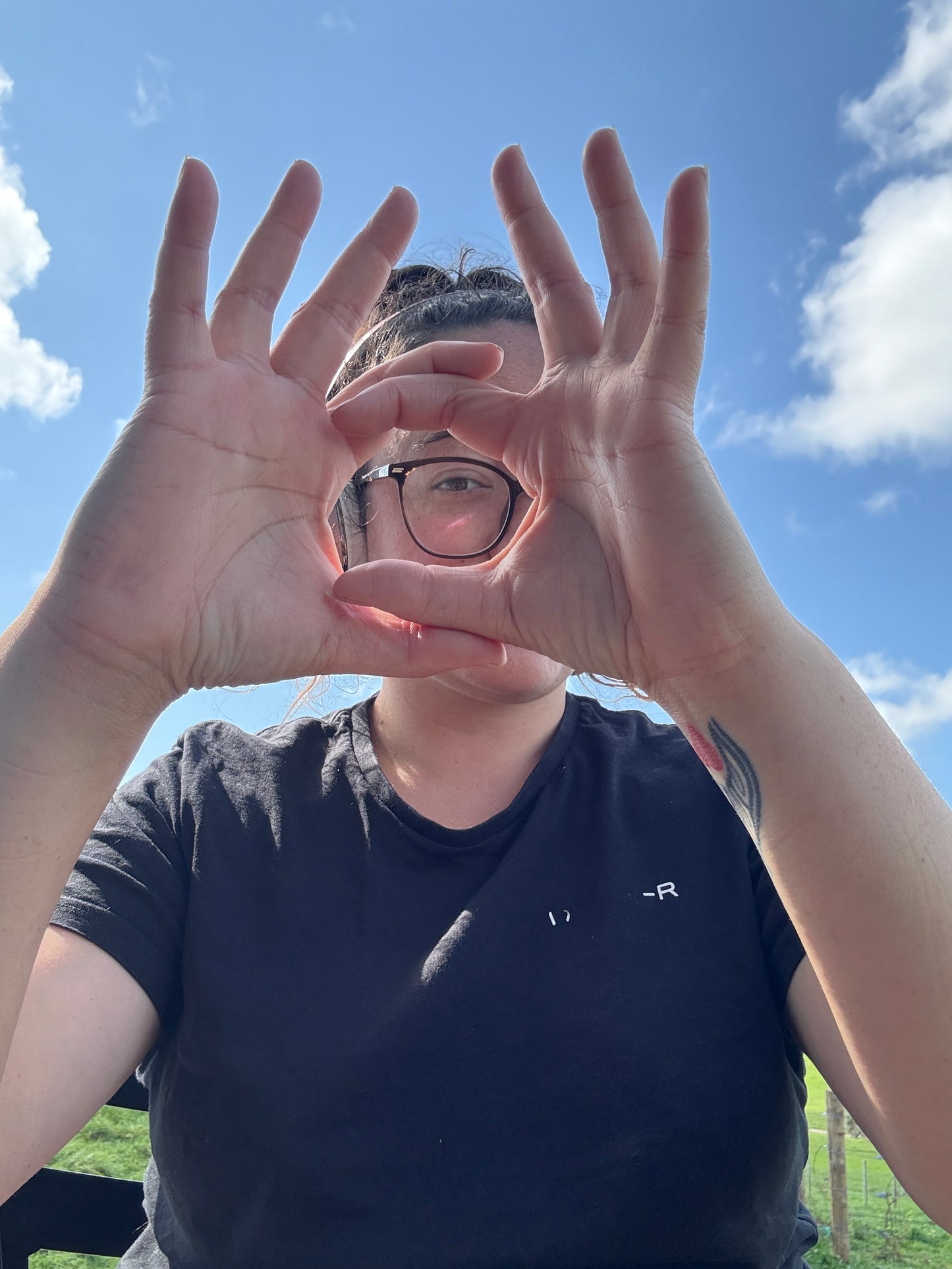 Silverbeet (Spray Free) bunch