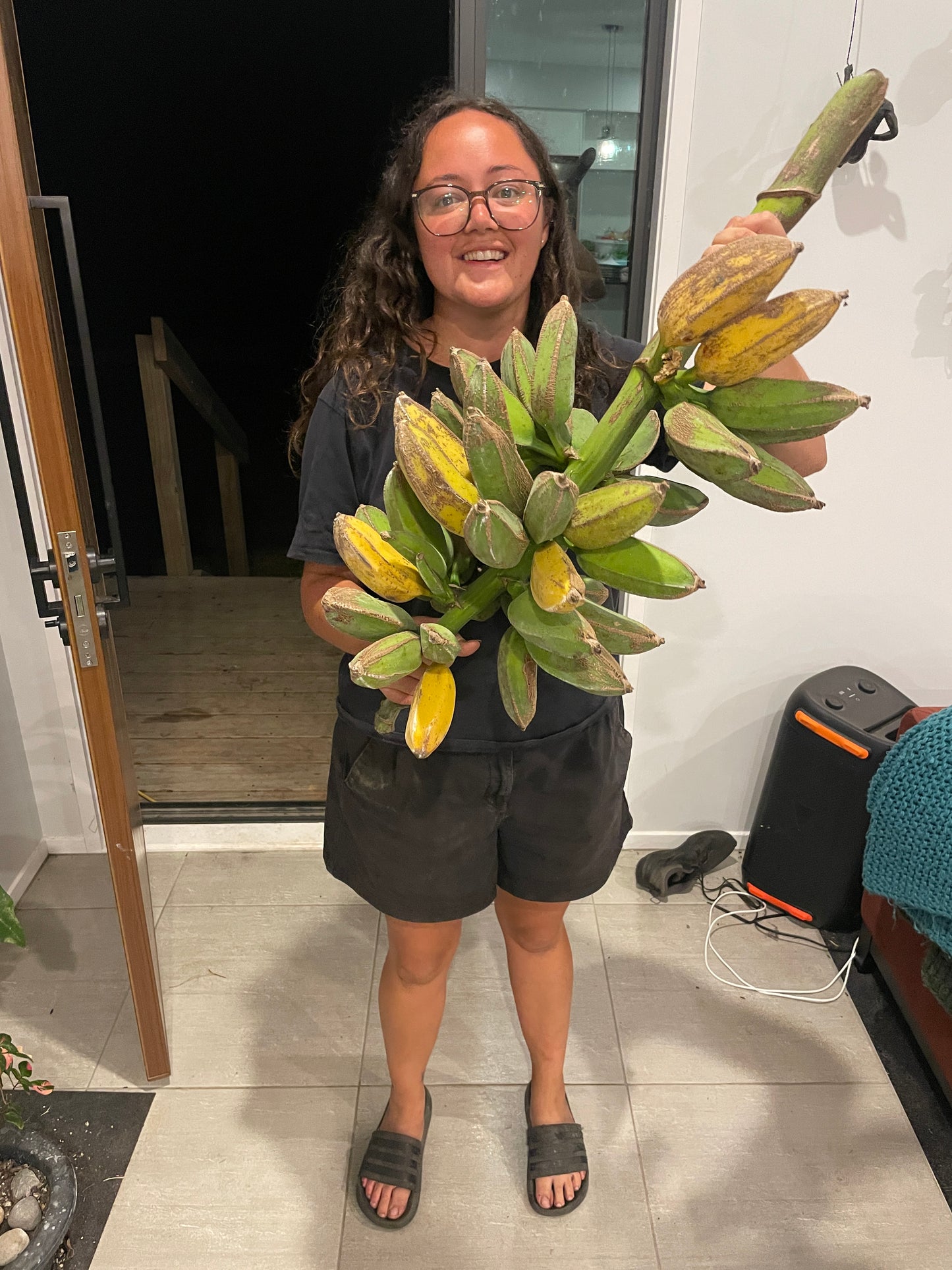 Bananas (kg)