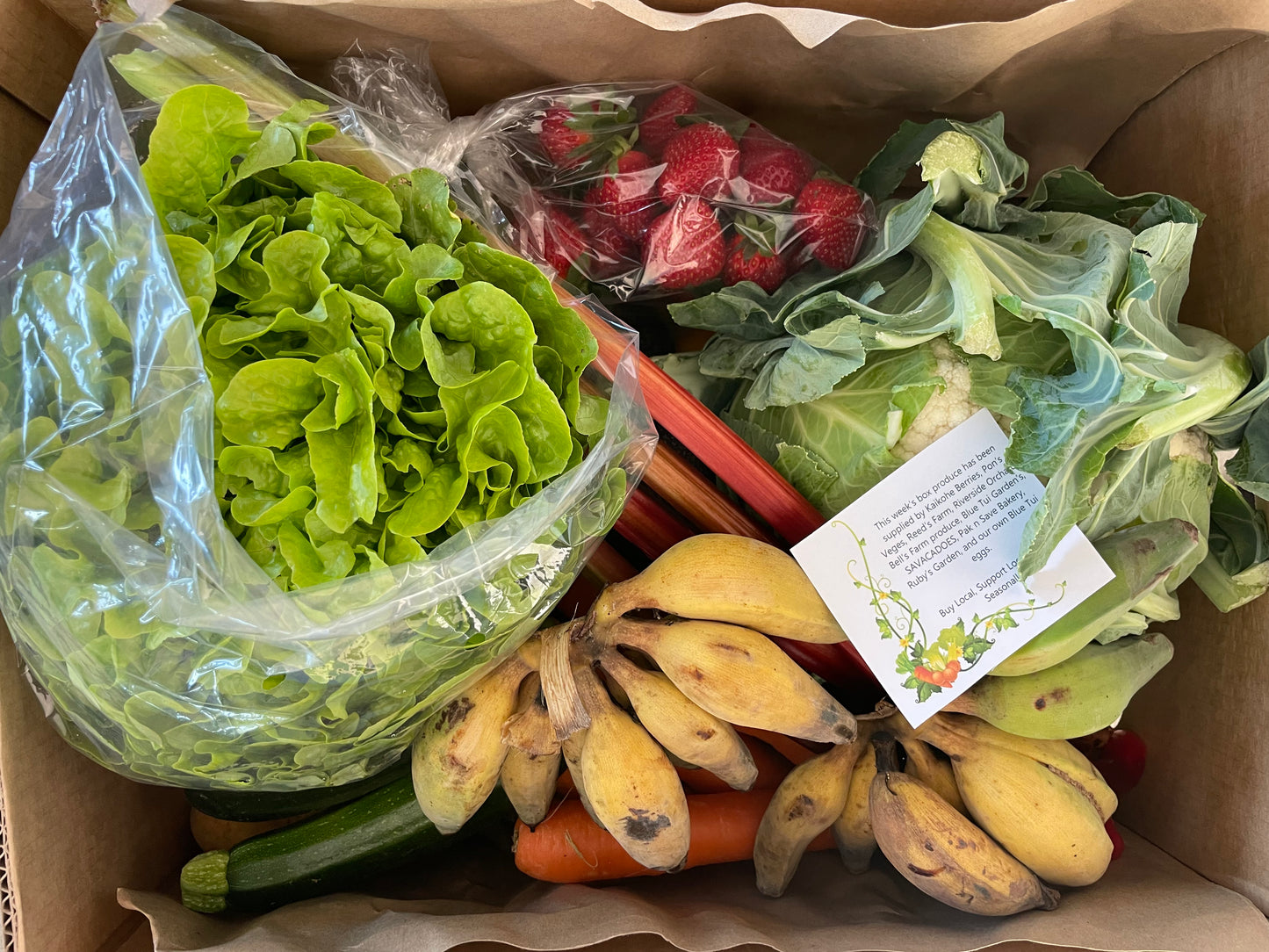 Donate a Starter Box