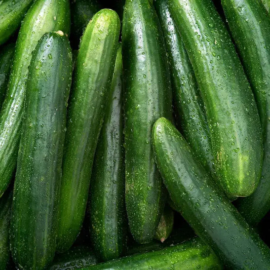 Cucumbers (mix varieties)